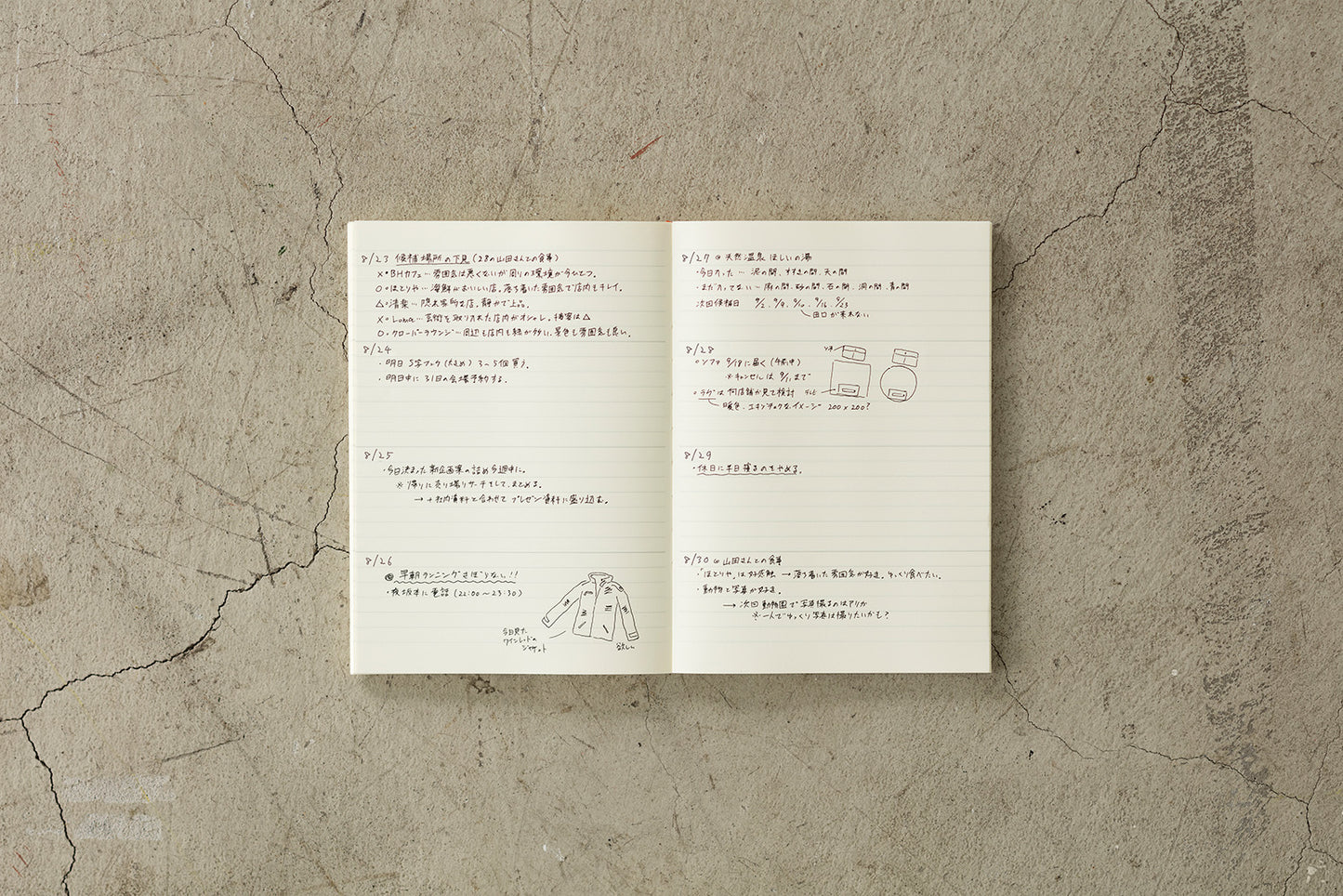 Midori MD Notebook Diary 2024