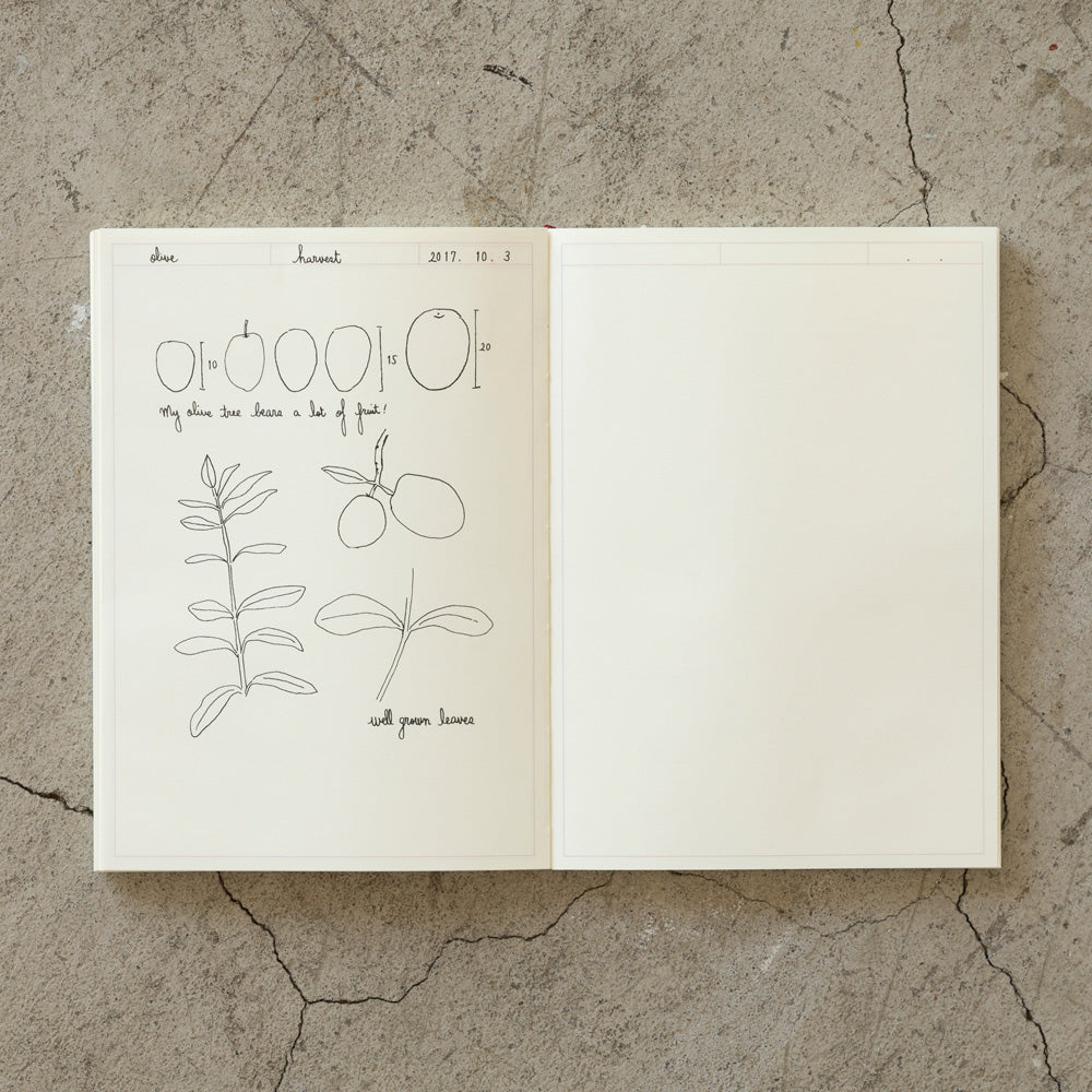 Midori MD Notebook Journal